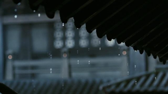 Rain Drops