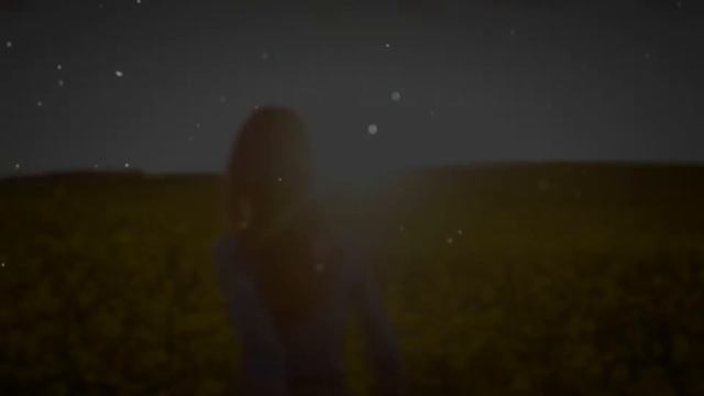 Семена томатов из Голландии