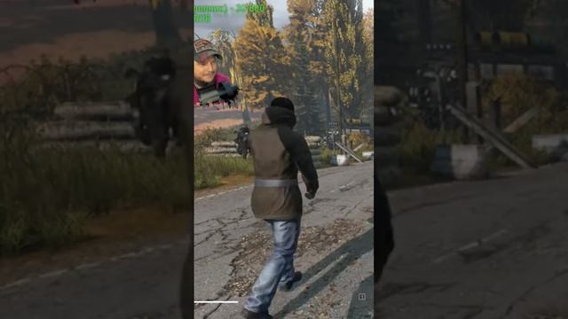 ДАЙ ПОДЕРЖАТЬ  #сталкер #dayzrp #дейзи #shorts