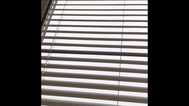 Barish (rain)🌧 Ki Wajah Se Windows Ur Wall Damaged In New York City