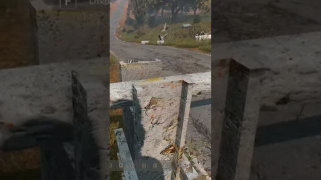 НАРОДНЫЕ ЦЕЛИТЕЛИ  #бобр #stalkerrpdayz #gaming #gameplay #сталкер #memes #escapefromtarkov #games