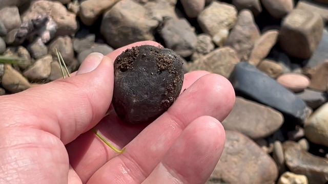 1fd04d3363e08afefbfff600a64529f8