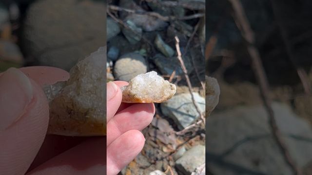 513a55f99b5540f30f3134d38f1e7d93