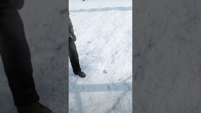 БАБЫ ТО ЕСТЬ #сталкеррп #юмор #игры #dayzrp #gaming #shorts