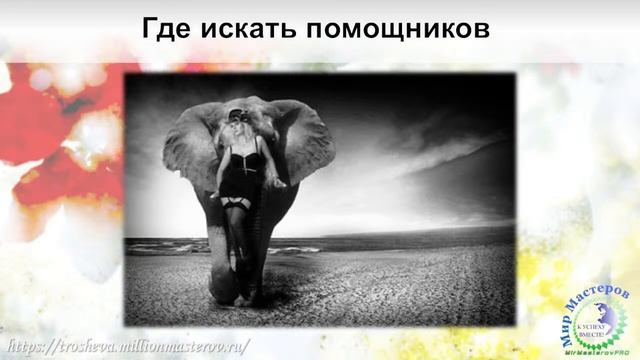 A2d605177532818704e1d4b79442e20f