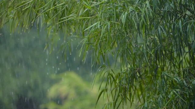 Звуки дождя и лёгкая джазовая музыка