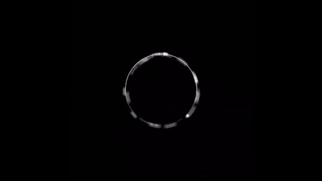 ПОЛНЫЙ ОБЗОР NIMSES - АНГЕЛЬСКАЯ СОЦИАЛЬНАЯ СЕТЬ