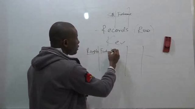 Databases And Database Management Systems For Beginners - Lectures