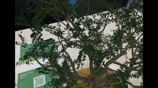 5724a82b14206680c5c6e7d2011981d4