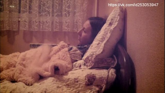 C117a8668bfa08cc0f3614da8efc111c