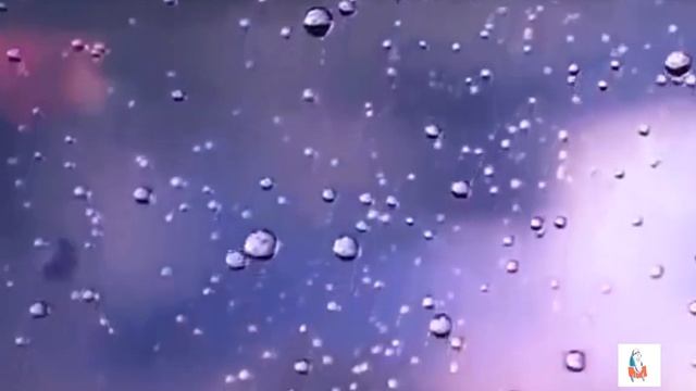 Возможности жизни