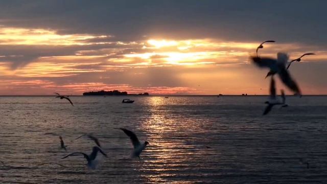 Beauty Of The Gulf Of Finland In St.Petersburg