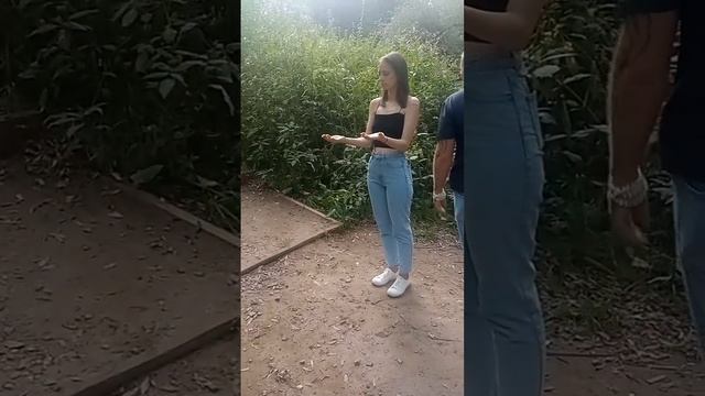 гипноз на улице со случайными прохожими