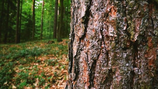 VYEN - State Drive (NO COPYRIGHT MUSIC)