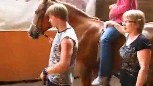 Nakone37 Ru   Иппотерапия