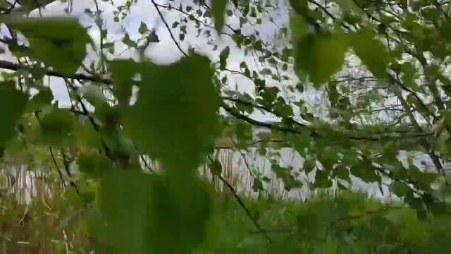 Bdc445ad6e6b7dd5d0db61acd19ed9bc