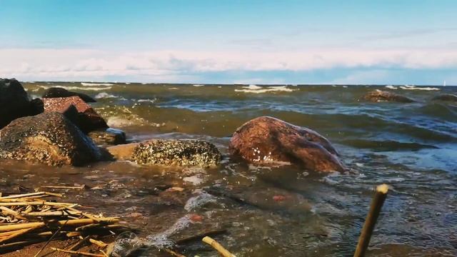 Cheel - Lazy Walk (NO COPYRIGHT MUSIC