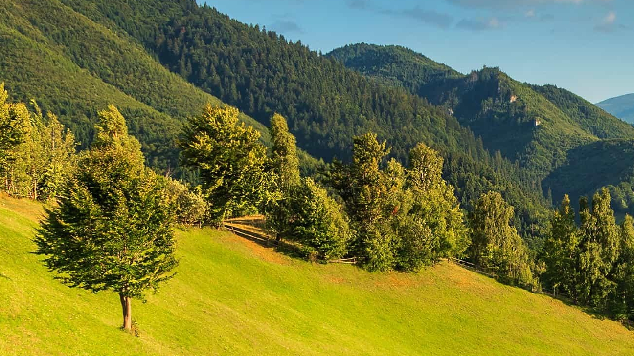 🎀Сейфер🎀