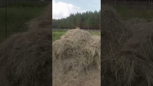 У каждого своя работа!