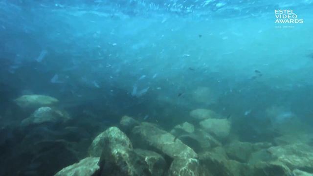 Шушкина Ольга. Искусство чувствовать. г. Саратов