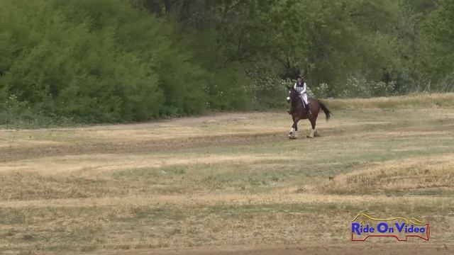 023XC Megan McIver Sabo On Quintessence Advanced Cross Country Twin Rivers Ranch April 2022
