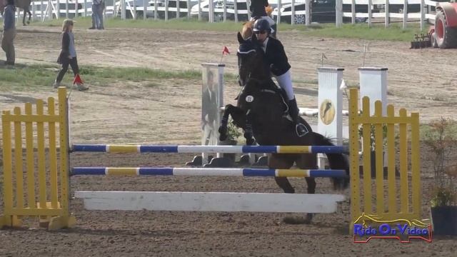 031S Lisa Sabo On Infinity Open Preliminary Show Jumping Ram Tap February 2022