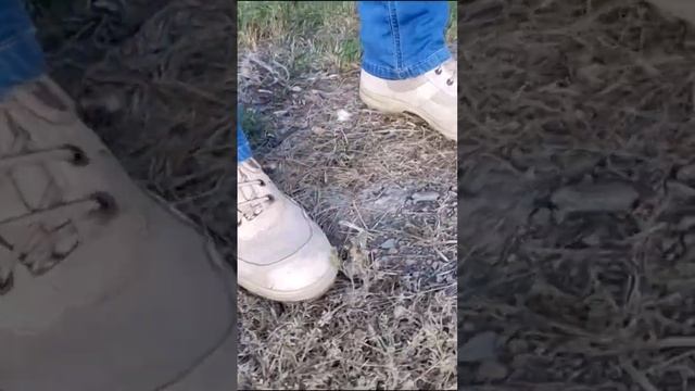 Ботинки Бутекс Рысь