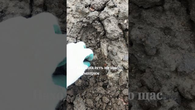 Я деджу в руке ИСТОРИЮ‼️😎🔥 Находки с МЕТАЛЛОИСКАТЕЛЕМ на поле #xpdeus2 #металлоискатель #интроник