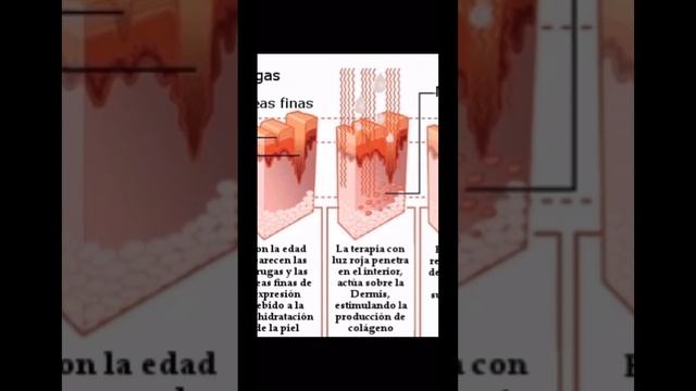 HIME SAMA Led Therapy Mask