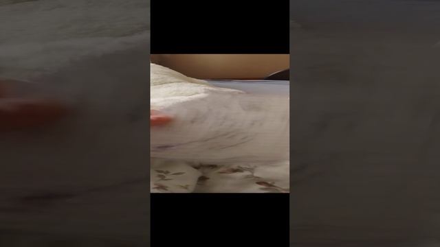 ул 9 Карла Маркса 1/6