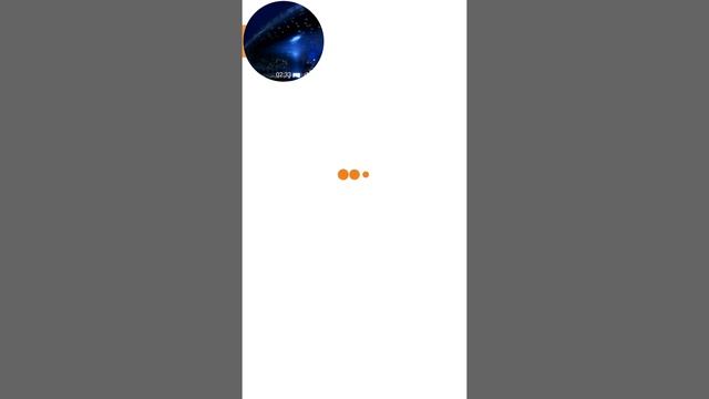 играем в флепи берц