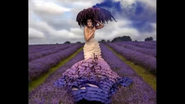 LAVANDA By JULIUS Sabo