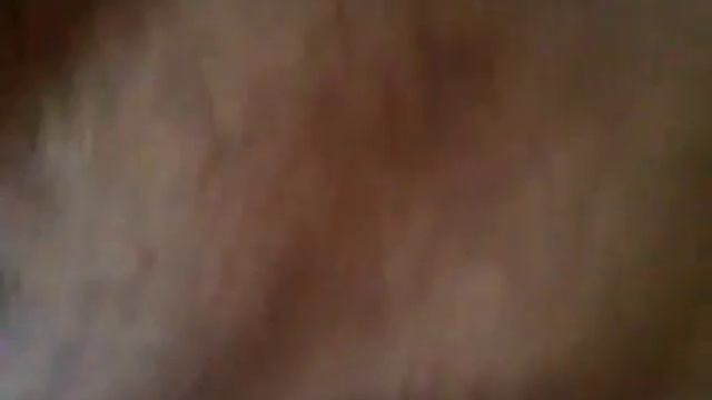 энгри берц го!