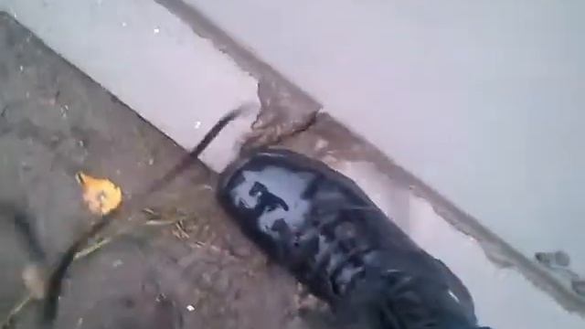 02ac282853e748642b78c6e119577412