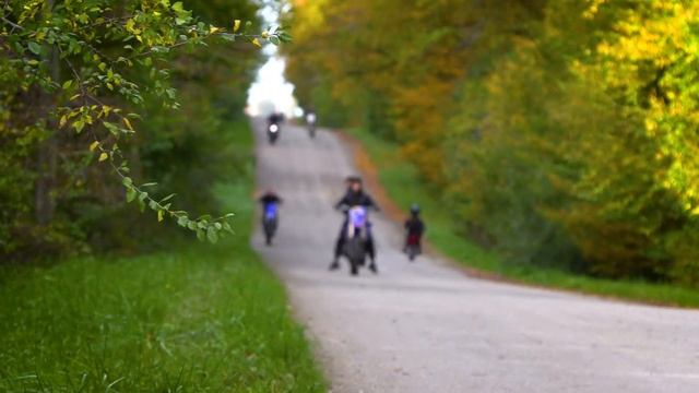 Halloween Edit - Querly 2024