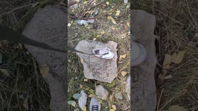 C17476d6d92fe1207c98976537a4fec3