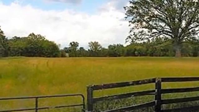 Homes For Sale - 7475 Vassar Rd Grand Blanc MI 48439 - Wendy Sabo