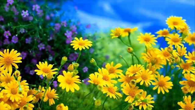 Следующее пробуждение