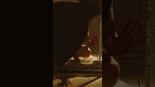 A Metal Band That Should Definitely Be On Your Playlist #metal #deathcoremusic #deathcorevocalist