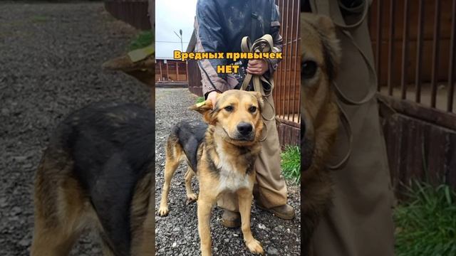 Просто мой канал