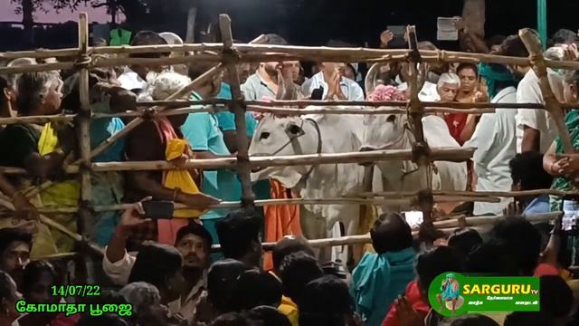 SARGURU TV 14/07/22 கோமாதா பூஜை