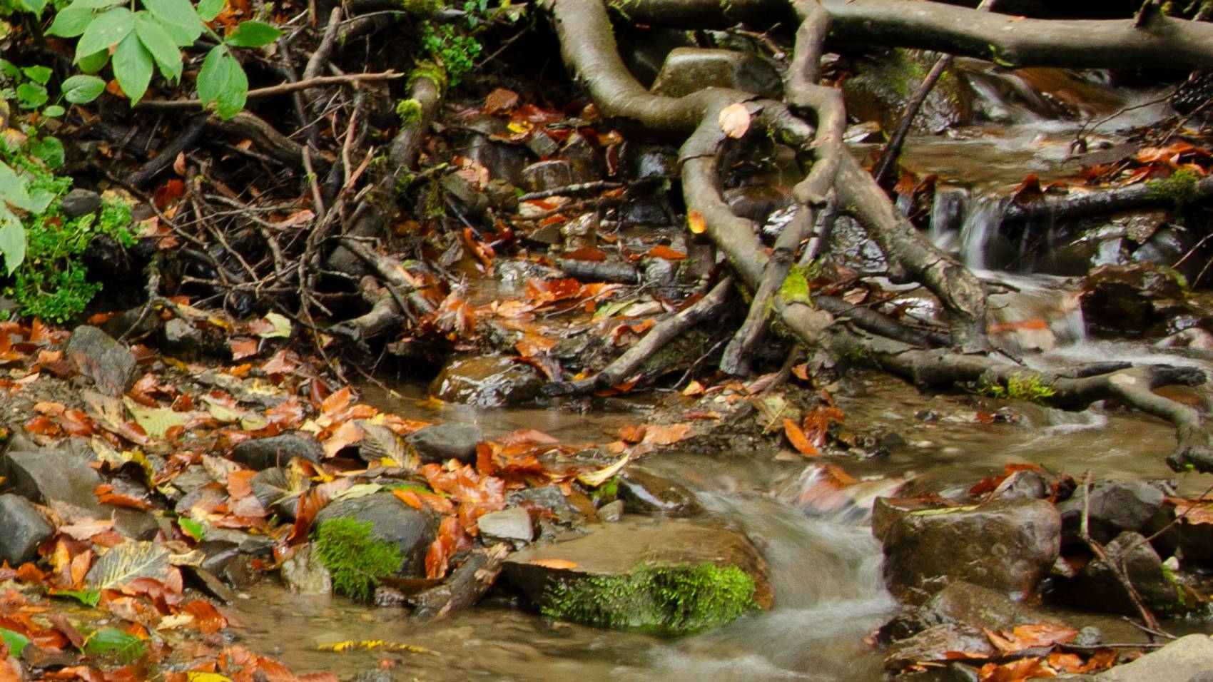 Река, звуки природы