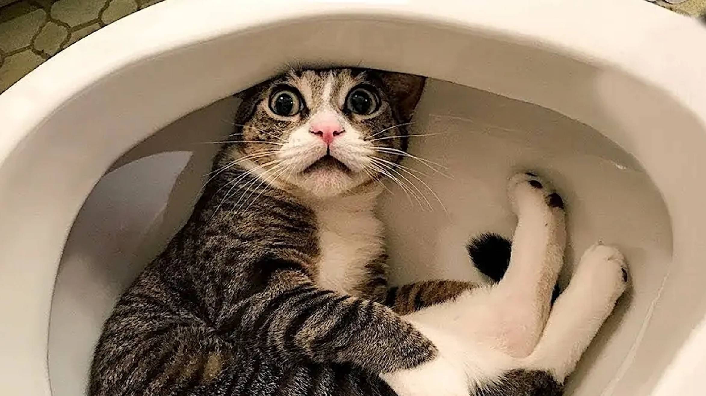 C70eba60eeb60a5f7db3517a7070e95d