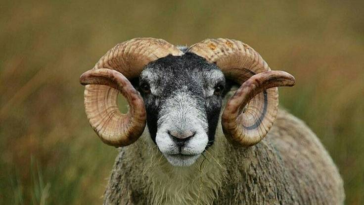 Fb0a827e81c30e9a6c04d0587c9a1757