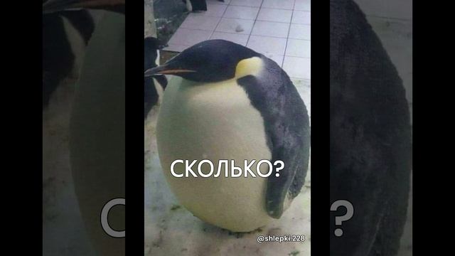 ТЫ ДОСТАТОЧНО УМЕН?