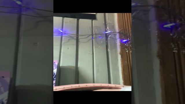 Доминика🥀☕️🖤