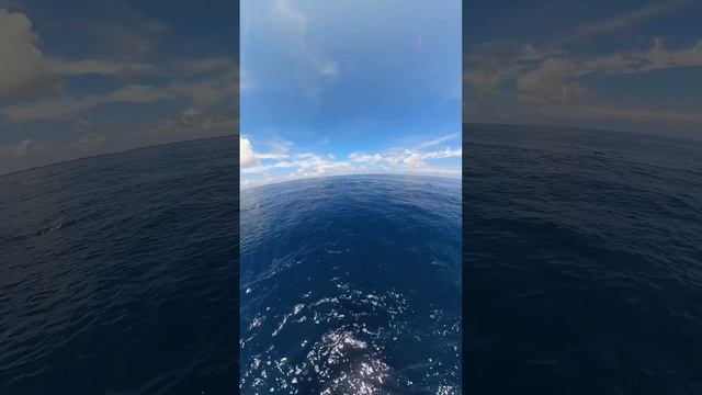 E83ab03b57b4f7de5993abdc69b17d64