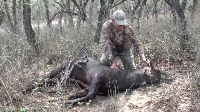 27407dab5a420c824afcd2237ad310cd