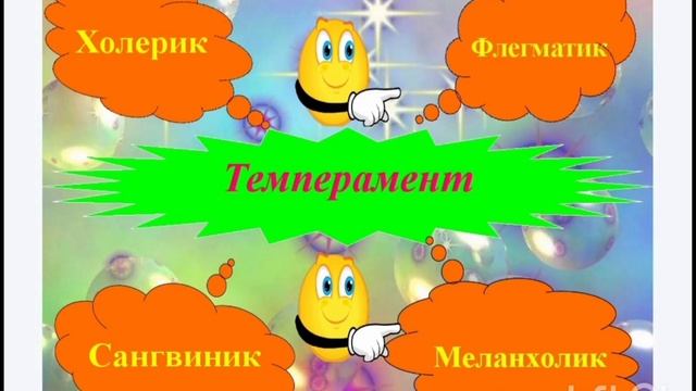 Темперамент