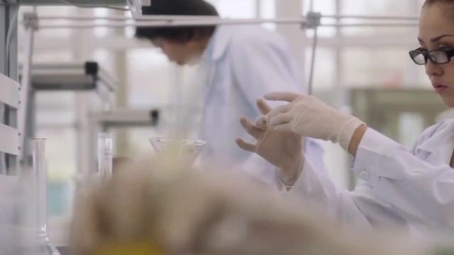 Проморолик 